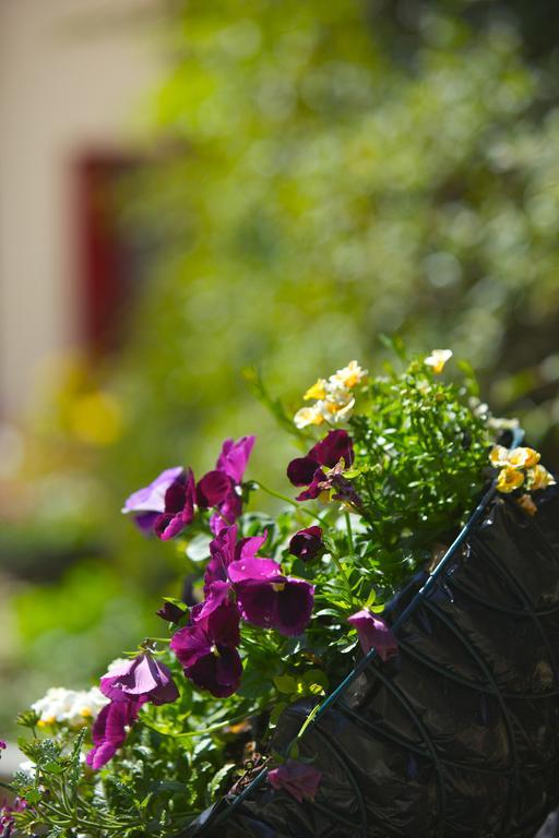 Westbrook House B & B Buncrana Luaran gambar